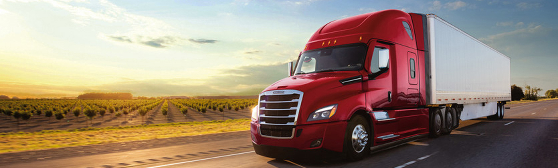 Bharat's Real 6 Years Warranty*